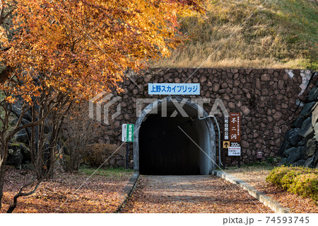 上野スカイブリッジ 秋 不二洞 川和自然公園 まほーばの森 シャボン玉 上野スカイブリッジ 秋 不二洞 川和自然公園 まほーばの森 シャボン玉 74593745