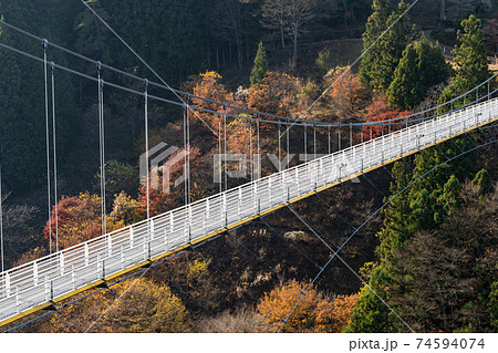上野スカイブリッジ　秋　不二洞　川和自然公園　まほーばの森　シャボン玉 74594074