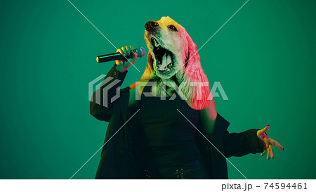 Talented dog, professional musician performing on green background in neon light. Concept of music, hobby, festival, contemporary art collage. Modern design. Talented dog, professional musician performing on green background in neon light. Concept of music, hobby, festival, contemporary art collage. Modern design. 74594461