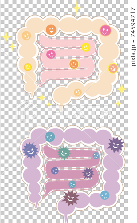 腸道環境 74594717