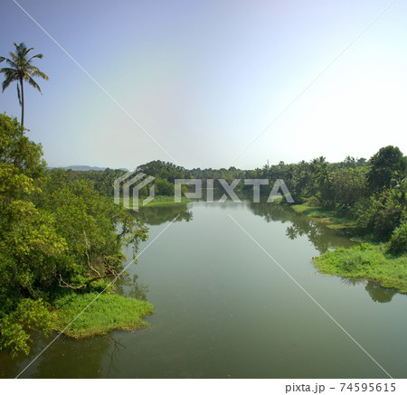 river in jungle 74595615