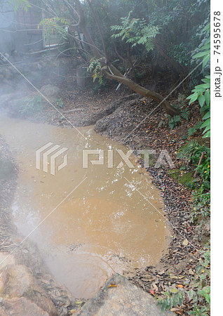 別府地獄めぐり「かまど地獄(一丁目)」（別府温泉 鉄輪･亀川地域／大分県別府市） 74595678