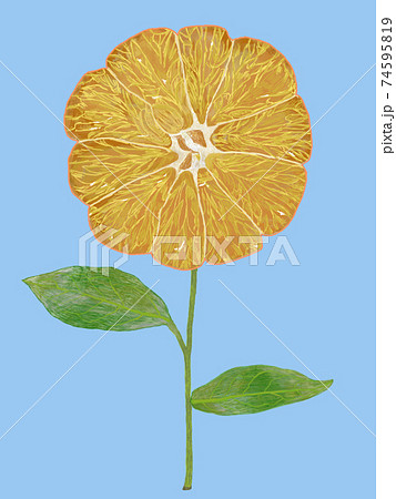 みかんな花のデザイン水色バック みかんな花のデザイン水色バック 74595819