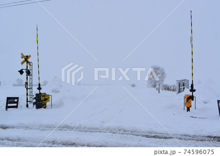 鹿討駅　踏切　道路　吹雪 74596075