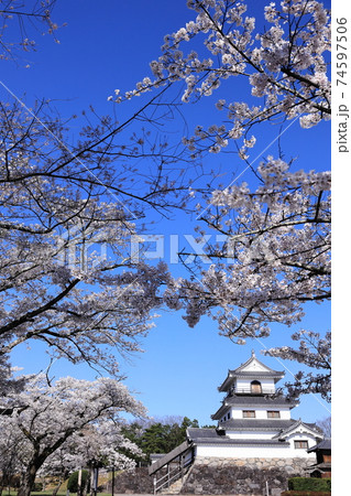 桜のころの白石城 74597506