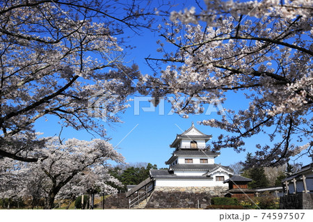 桜のころの白石城の写真素材
