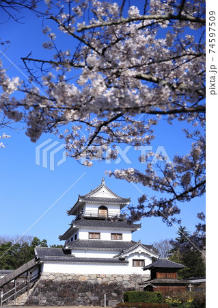 桜のころの白石城 74597509