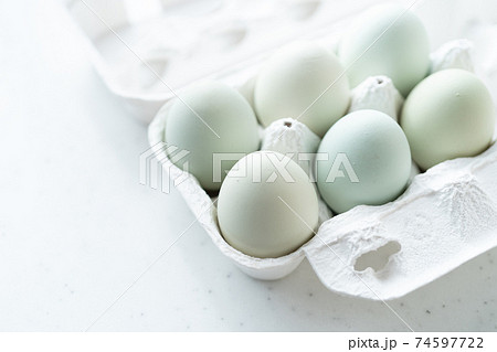 アローカナの卵 74597722