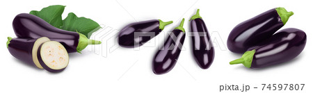 Eggplant or aubergine isolated on white background with full depth of field, Set or collection 74597807