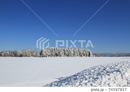 北海道の風景「雪原」 北海道の風景「雪原」 74597837