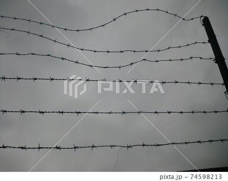 灰色の空に有刺鉄線 74598213