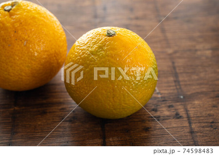 黄色いスイートスプリング 黄色いスイートスプリング 74598483