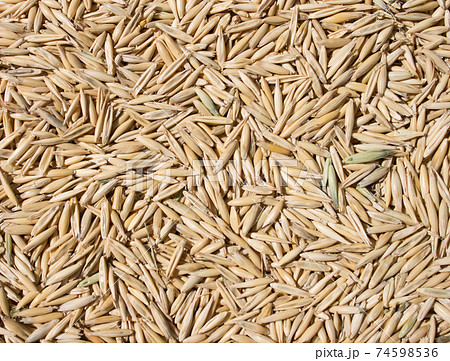 oats as a background oats as a background 74598536