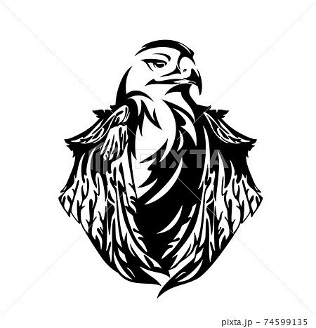 Eagle Bird Head And Wings Black And White のイラスト素材