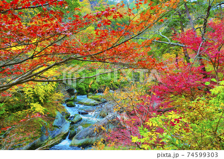 山梨県　紅葉の御嶽昇仙峡 74599303