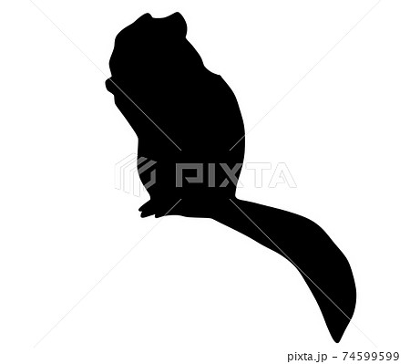 餌を食べるシマリスのシルエットのイラスト素材