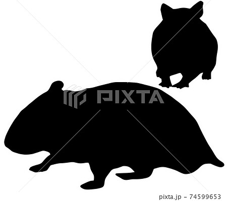 可愛いハムスターのシルエットのイラスト素材