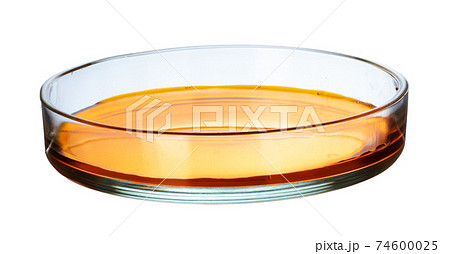 Petri dish with bacteria colonies isolated on white 74600025