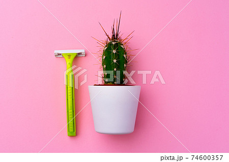 Spiny cactus and disposable shaver on pink background Spiny cactus and disposable shaver on pink background 74600357