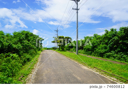 青空の下で自転車で走りたい緑に囲まれた道 74600812