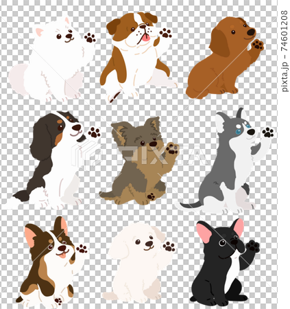 沒有主線的簡單可愛的狗插圖集D 74601208