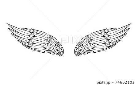 Vintage heraldic wings sketch. Doodle stylized birds wings. Hand drawn contoured stiker wing in open position. Design elements in coloring style 74602103