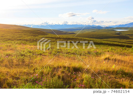 Mountains in Alaska Mountains in Alaska 74602154