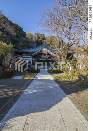 武蔵国分寺 武蔵国 国分寺 寺 重要文化財 武蔵国分寺 武蔵国 国分寺 寺 重要文化財 74602994