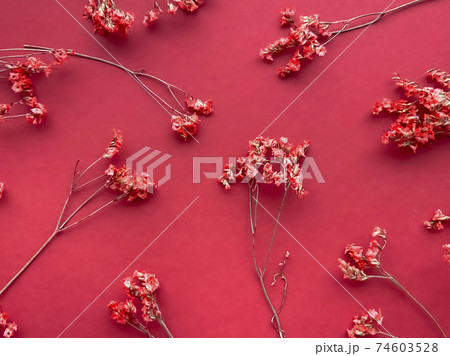 Flowers composition. Red flowers on red background. Spring, summer concept. Flat lay, copy space. Flowers composition. Red flowers on red background. Spring, summer concept. Flat lay, copy space. 74603528
