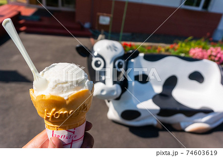 牛のベンチとスプーンの刺さったバニラアイスクリーム 74603619