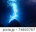 海中で光に向かって登る魚の群れ 74603767