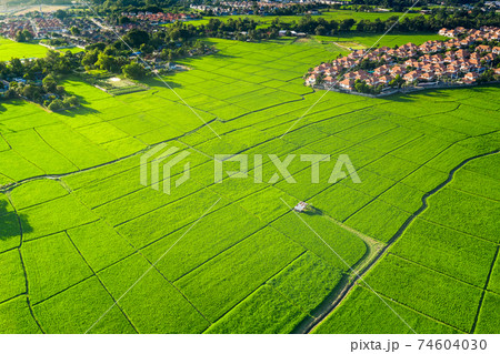 Land plot, green field and house in aerial view. Land plot, green field and house in aerial view. 74604030