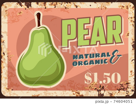 Organic pears harvest vector rusty metal plate Organic pears harvest vector rusty metal plate 74604051