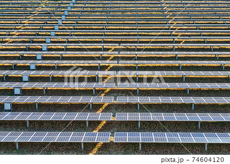 太陽光発電　メガソーラー発電所 74604120