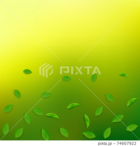 Falling green leaves. Fresh tea random leaves flyi Falling green leaves. Fresh tea random leaves flyi 74607922