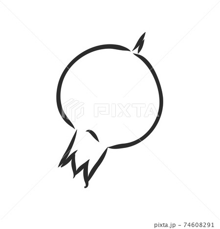 Vector sketch of tropical pomegranate fruit. Round outlines of ripe Garnet isolated on a white background, stock illustration on a horticultural theme. garnet, vector sketch on a white background 74608291