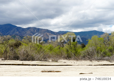California Golden Poppy and Goldfields blooming in Walker Canyon, Lake Elsinore, CA. USA 74610034