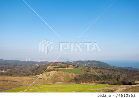 【兵庫県】 兵庫県立公園あわじ花さじき 【兵庫県】 兵庫県立公園あわじ花さじき 74610863