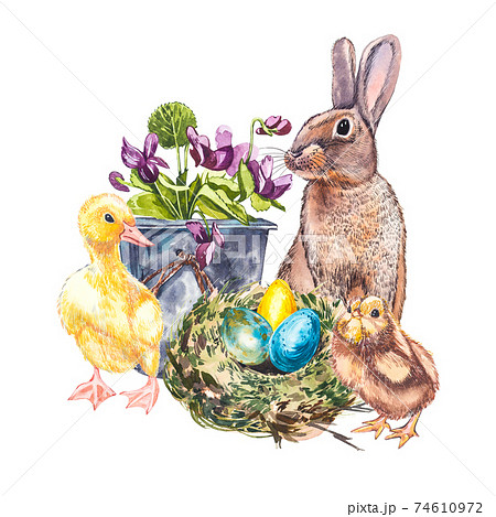 Easter set and template clip art with Easter eggs, flowers, animals, easter cake, birds nest on white background. Watercolor illustrations. Easter set and template clip art with Easter eggs, flowers, animals, easter cake, birds nest on white background. Watercolor illustrations. 74610972