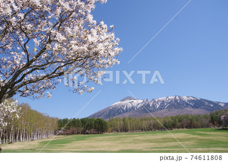 春の岩手県民の森と岩手山 74611808