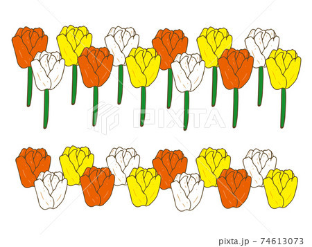 チューリップ ライン デコレーション 線 2種のイラスト素材