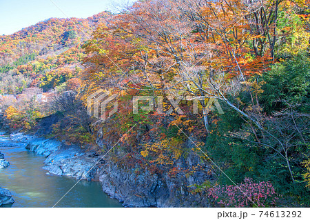 清流公園付近からの景色　利根川上流方面　　　　 74613292