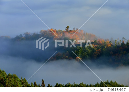 亀岡盆地の雲海 亀岡盆地の雲海 74613467