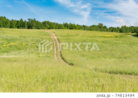 Field on slope of hill with forest on top and blue sky. Dirt road climbs up the hill. Summer countryside Field on slope of hill with forest on top and blue sky. Dirt road climbs up the hill. Summer countryside 74613494