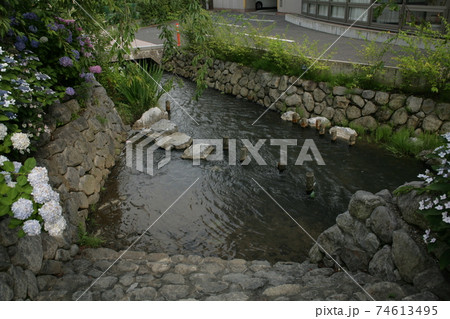 長野市 南八幡川 長野市 南八幡川 74613495