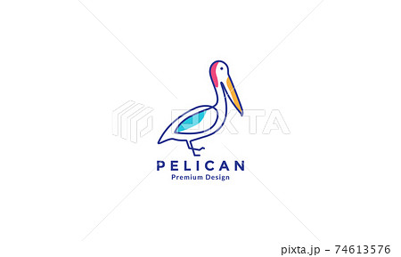 bird pelican line colorful logo symbol vector icon design illustration 74613576