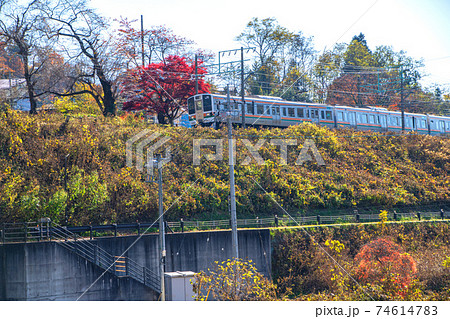 上越線　下り線方面　清流公園付近を通過する列車 74614783