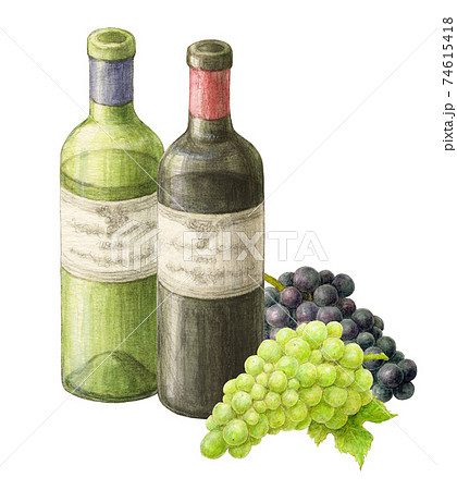ブドウの添えられたワイン 手描き水彩色えんぴつ画のイラスト素材