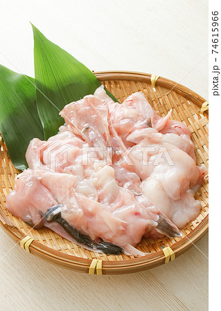 あんこう(鍋用) あんこう(鍋用) 74615966