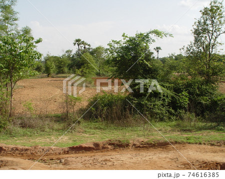 幹線道路脇･原野（マンダレー-バガン間／ミャンマー） 74616385